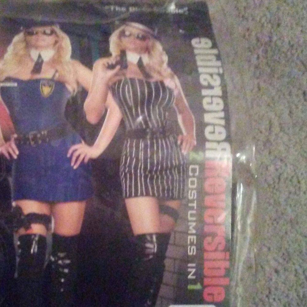 Dreamgirl Dirty Double Costume